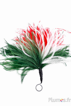 Pluim struisvogel met ring - hoogte 20-23 cm - groen-wit-rood